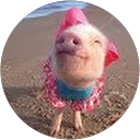 Kelly Franklin profile picture